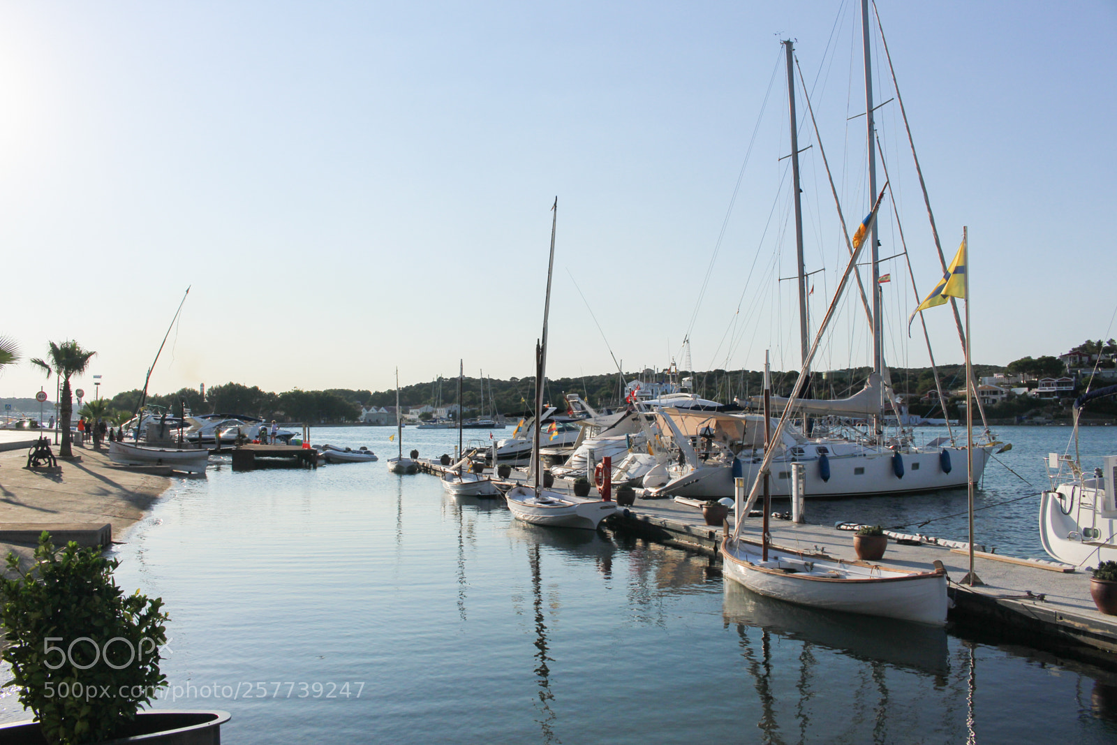 Canon EOS 700D (EOS Rebel T5i / EOS Kiss X7i) sample photo. Img photography