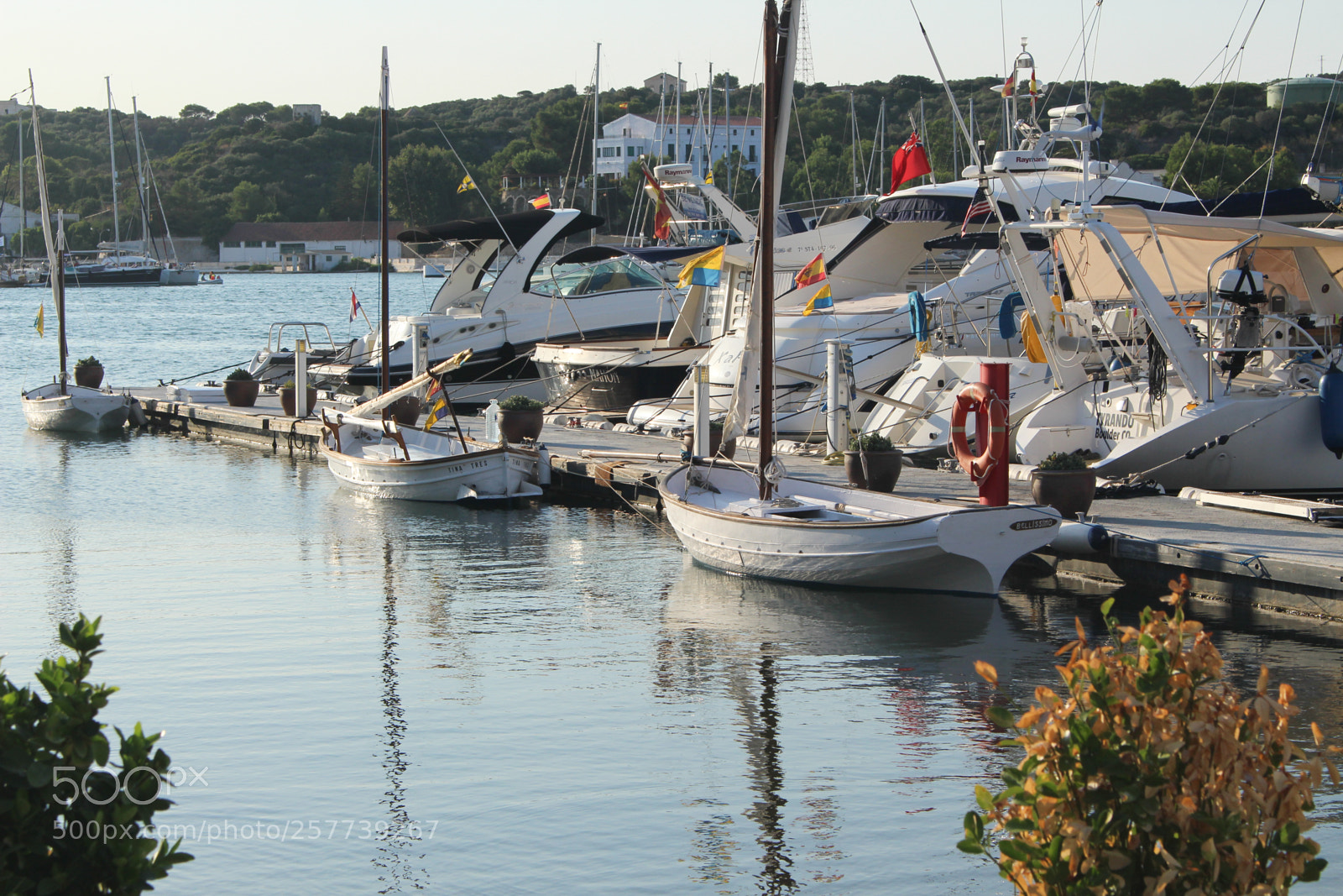 Canon EOS 700D (EOS Rebel T5i / EOS Kiss X7i) sample photo. Img photography
