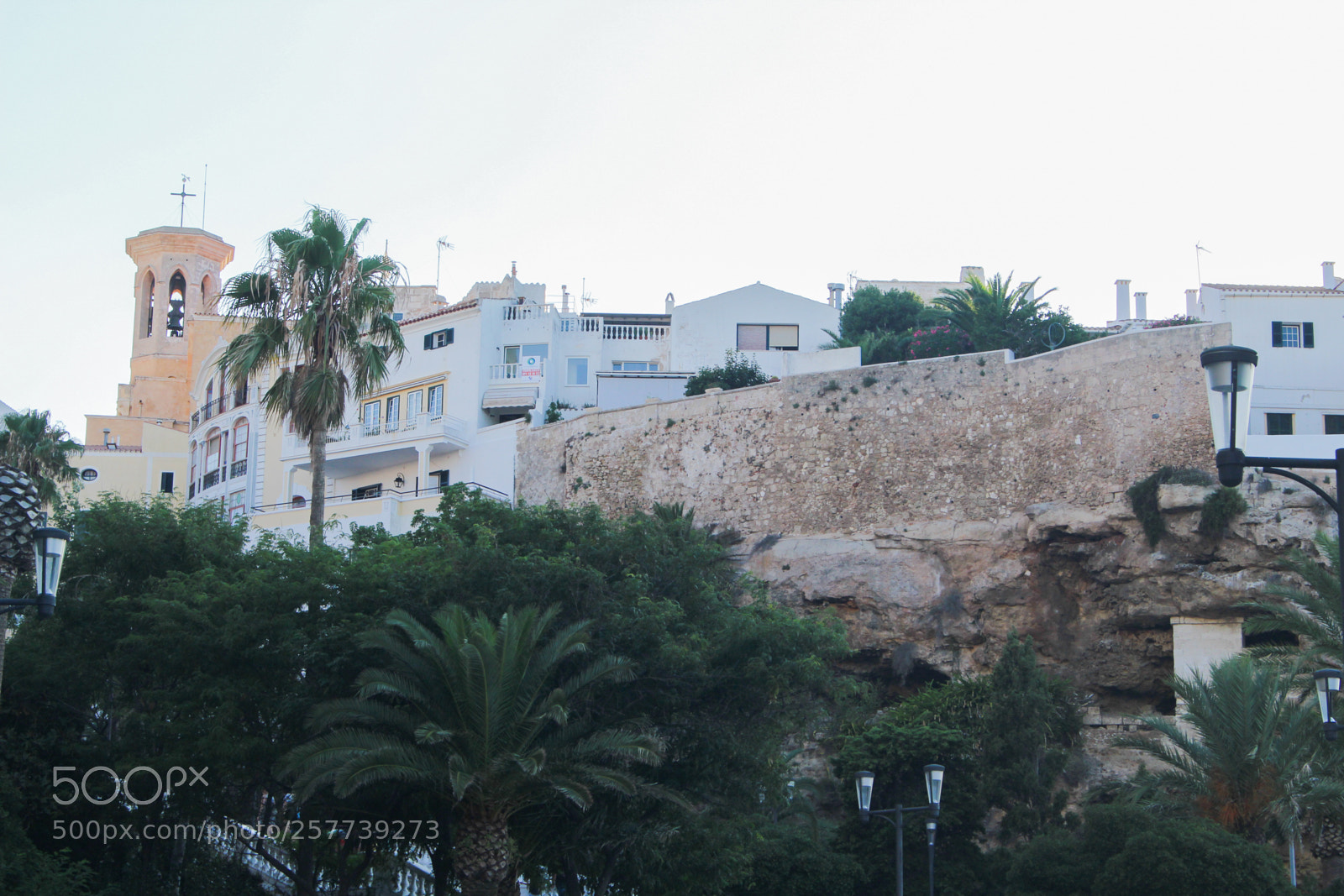 Canon EOS 700D (EOS Rebel T5i / EOS Kiss X7i) sample photo. Img photography