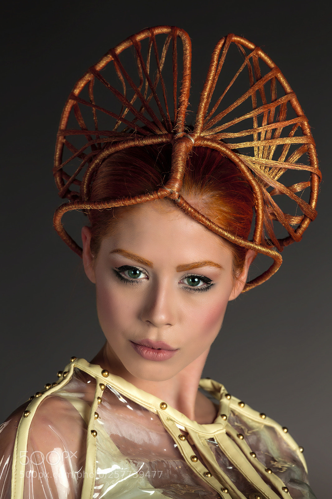 Canon EOS 6D sample photo. The crown. photography