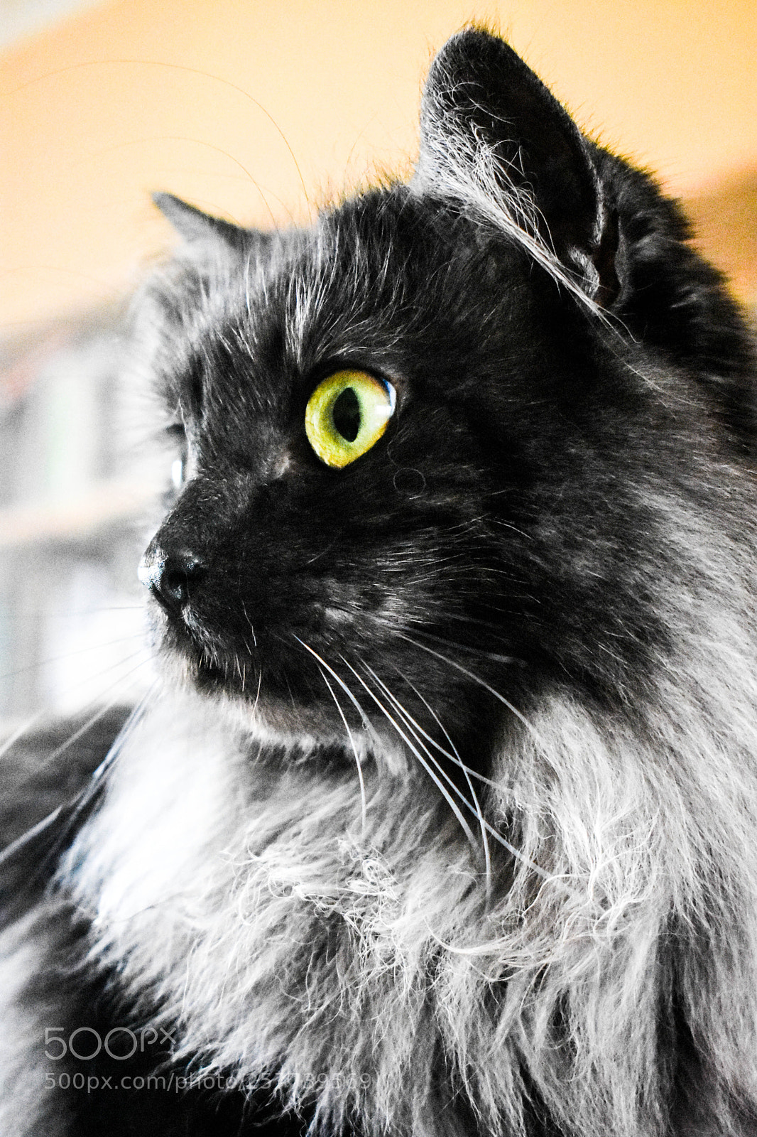 Nikon D3400 sample photo. Portrait photography