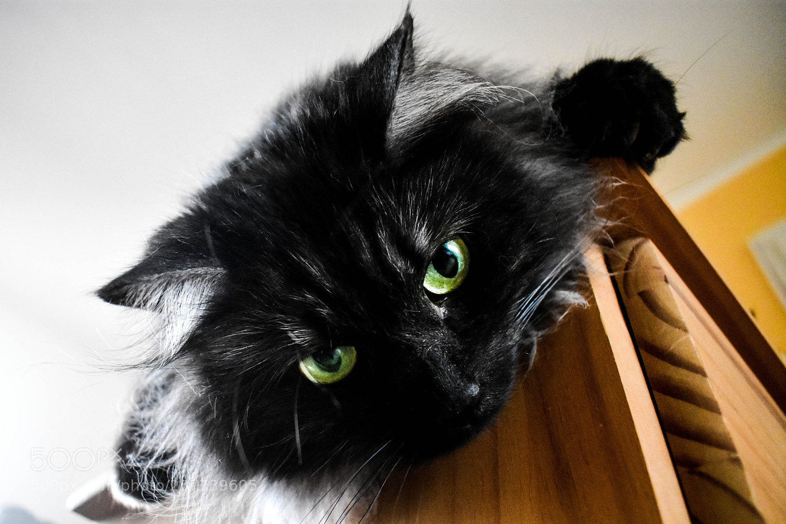 Nikon D3400 sample photo. Playing photography