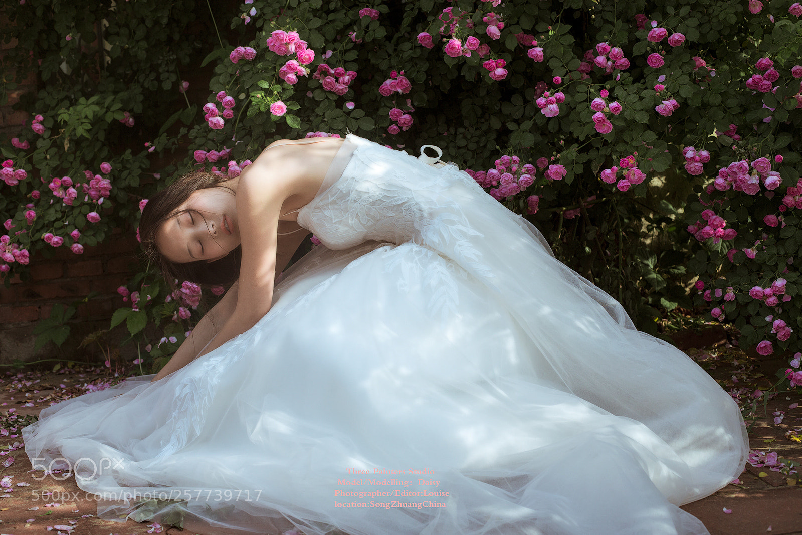 Canon EOS 6D sample photo. -花儿的孩子 photography
