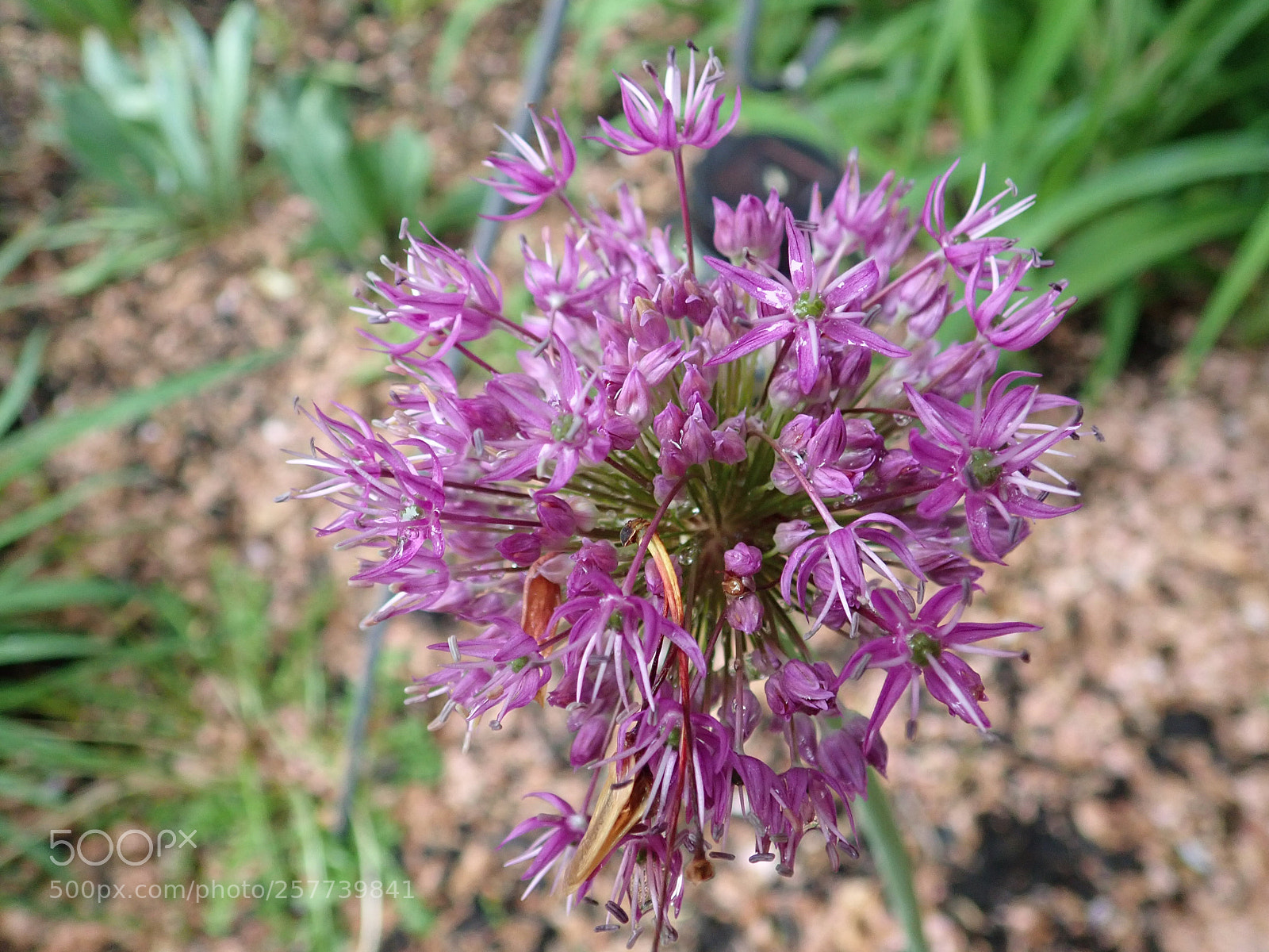 Olympus TG-5 sample photo. Visit to a small photography