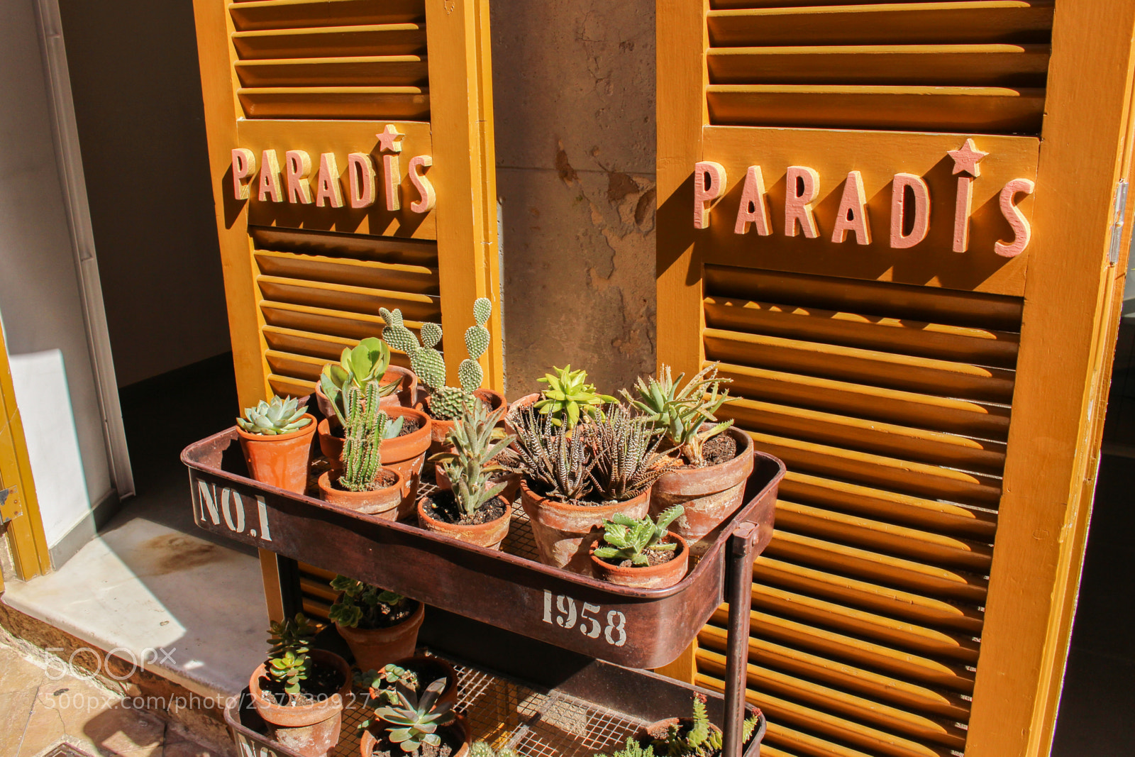 Canon EOS 700D (EOS Rebel T5i / EOS Kiss X7i) sample photo. Img photography