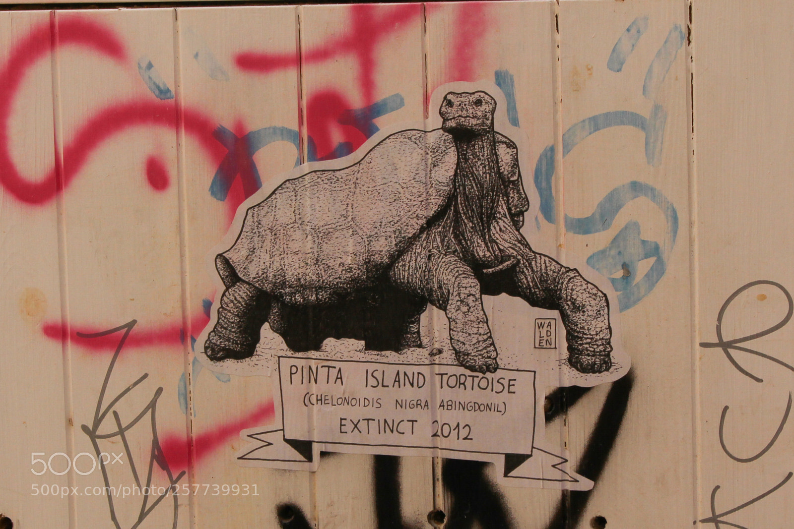 Canon EOS 700D (EOS Rebel T5i / EOS Kiss X7i) sample photo. Img photography