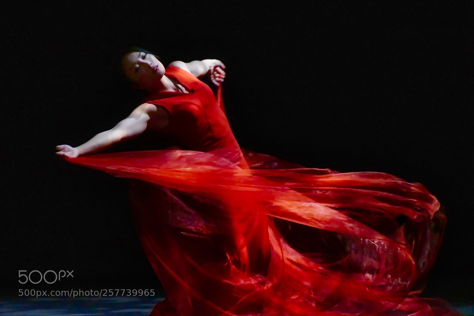 Nikon D500 sample photo. Red lady.jpeg photography