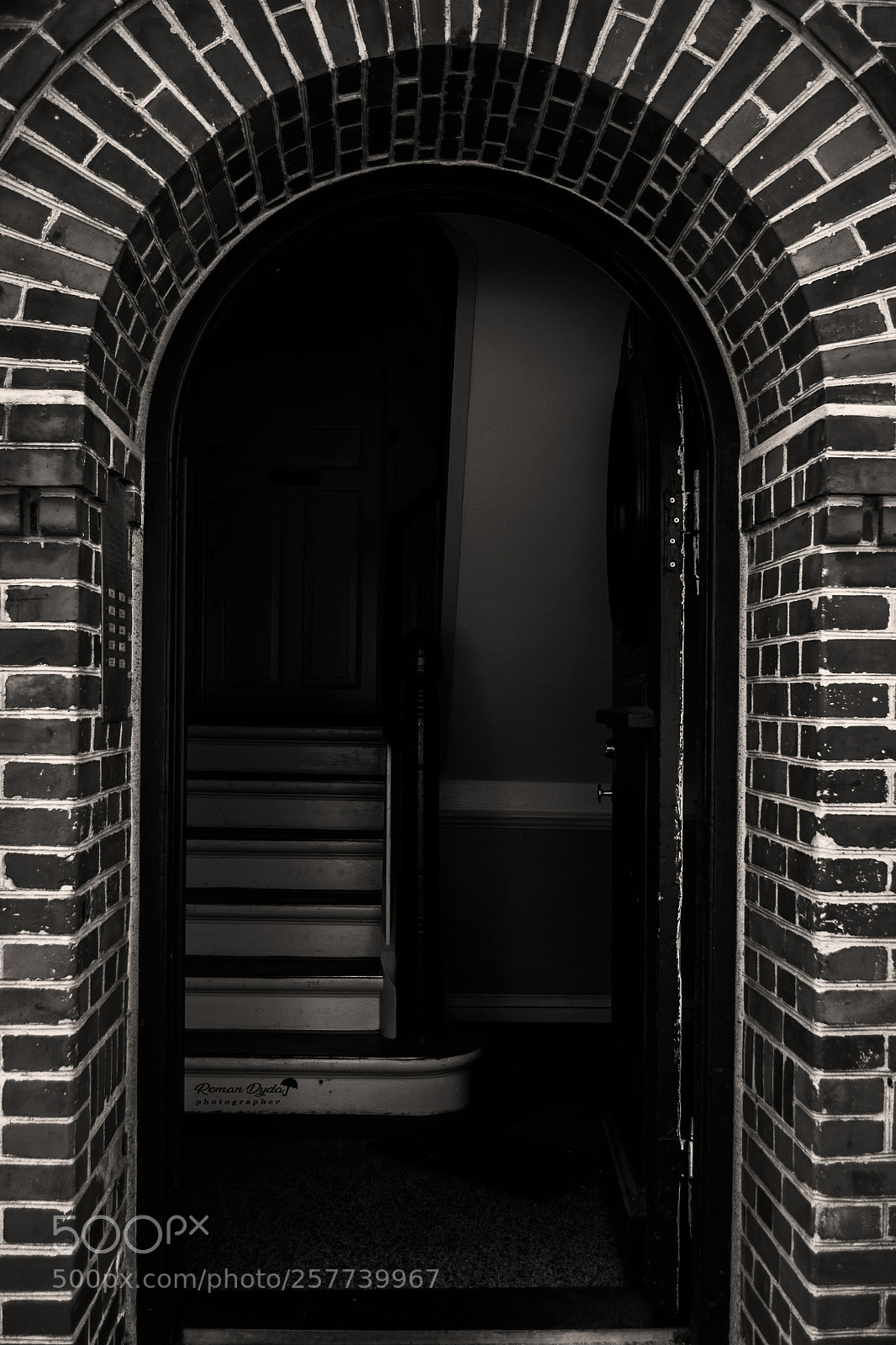 Nikon D3100 sample photo. Open the door. photography