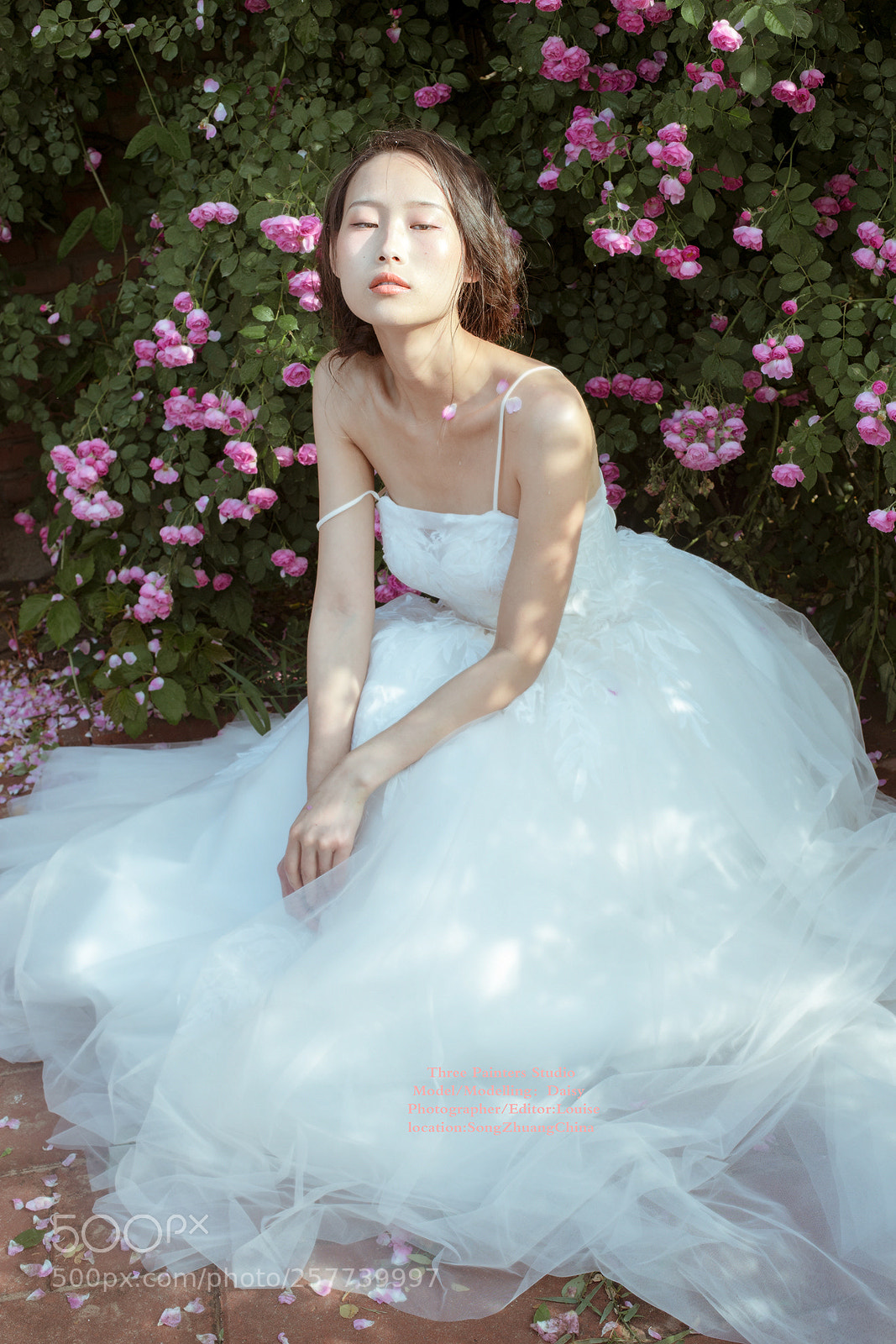 Canon EOS 6D sample photo. -花儿的孩子 photography