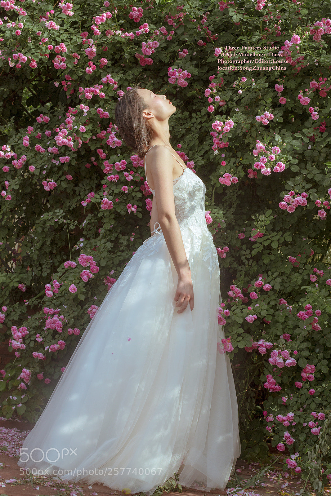 Canon EOS 6D sample photo. -花儿的孩子 photography