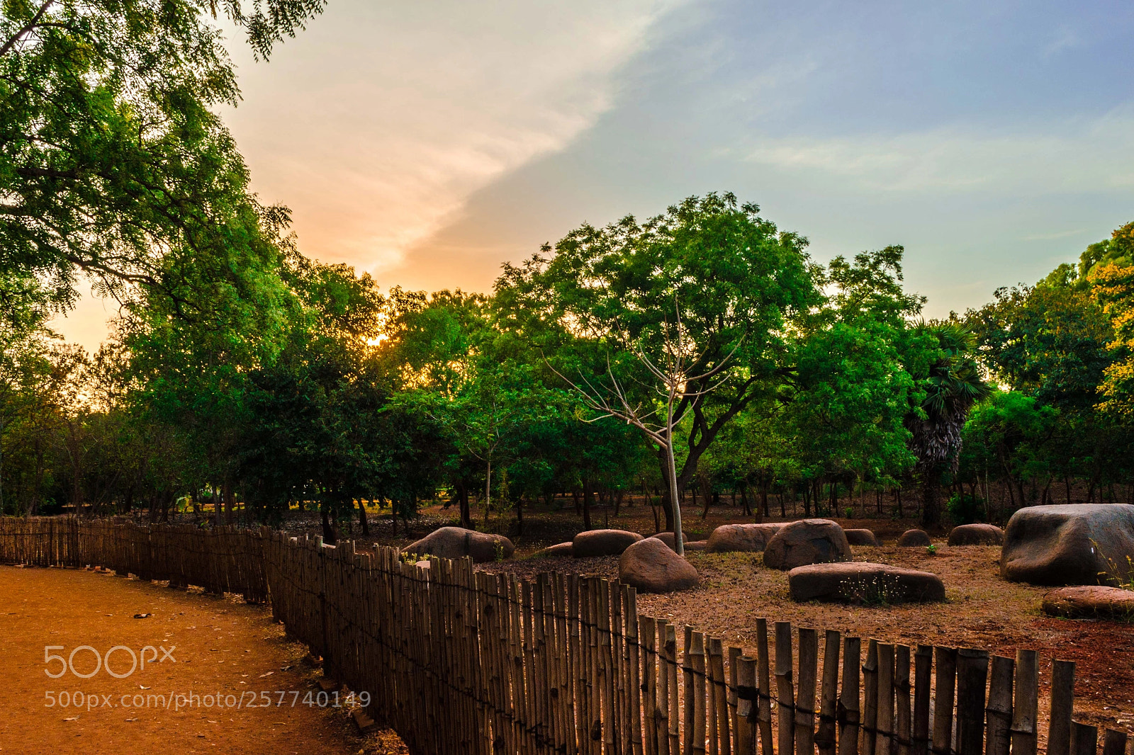 Nikon D5100 sample photo. Colours of sunset photography