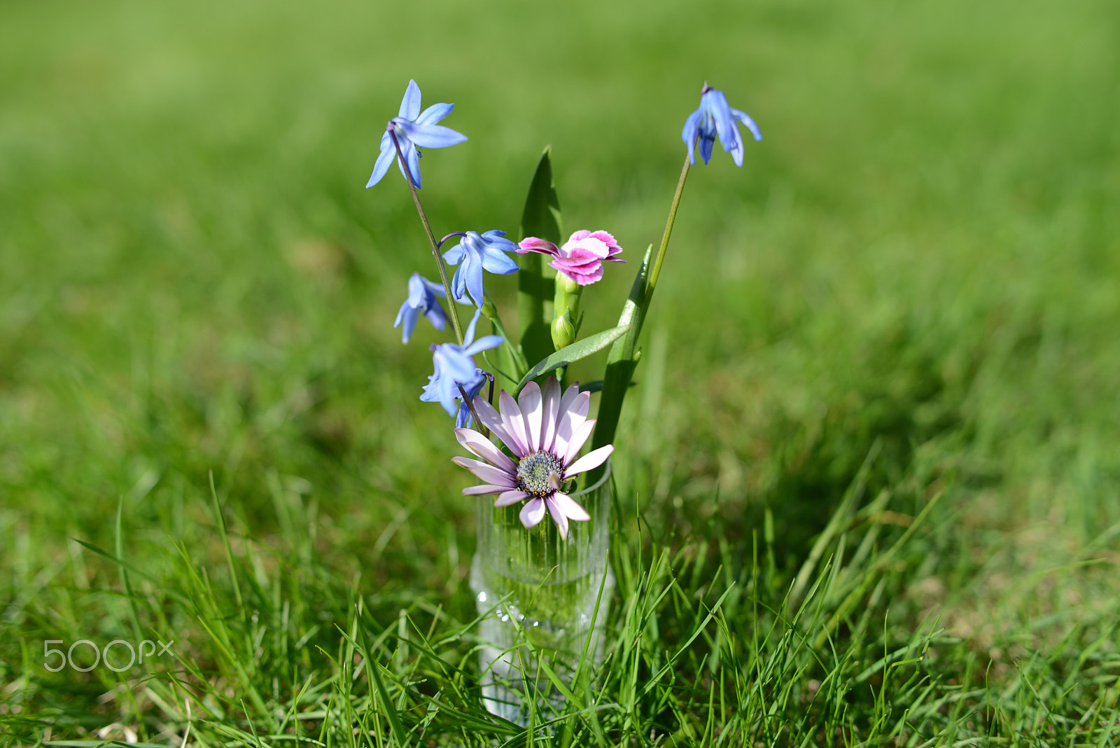 Nikon D800 + Nikon AF-S Nikkor 28mm F1.8G sample photo. Happy mothers day photography