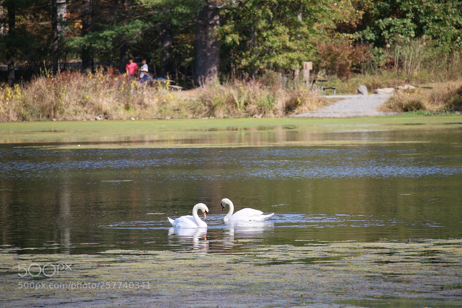 Canon EOS 70D sample photo. Love, in the nature! photography