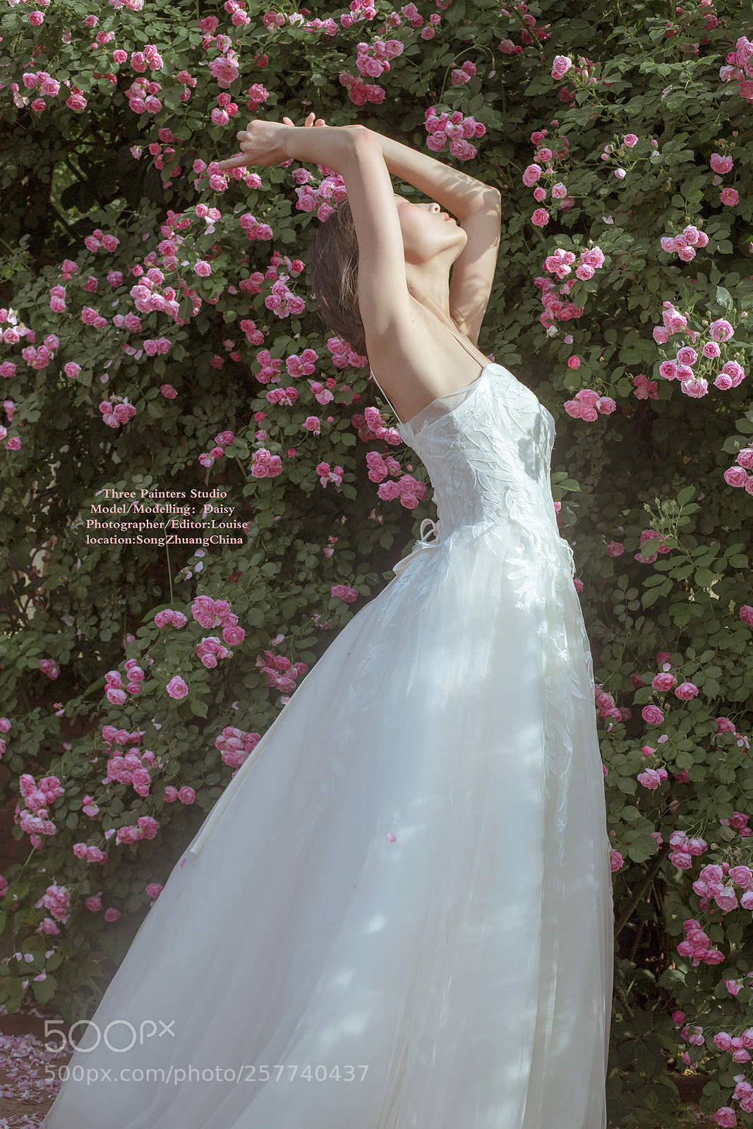 Canon EOS 6D sample photo. -花儿的孩子 photography