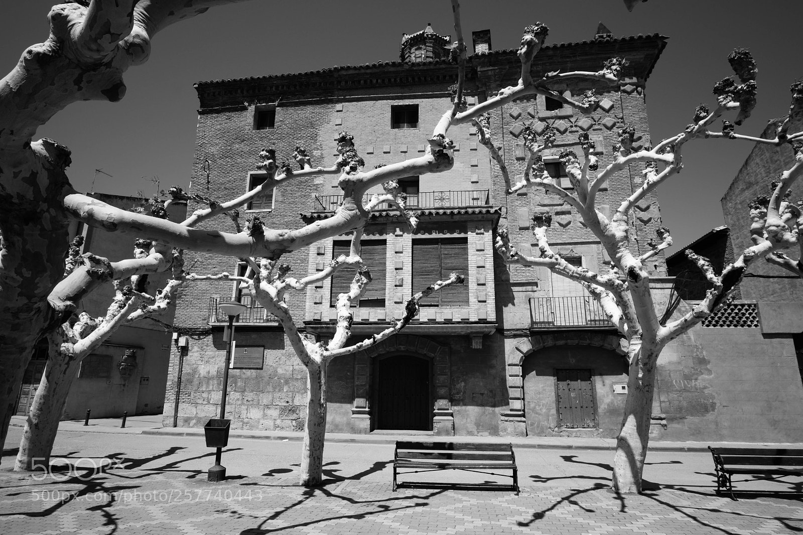 Fujifilm X-Pro2 sample photo. Paseo por fitero navarra photography