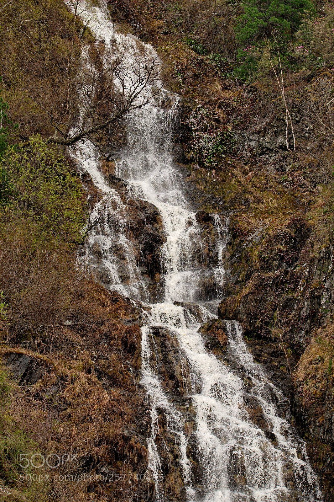 Fujifilm X-T1 sample photo. Russia. mountain altai. waterfalls photography