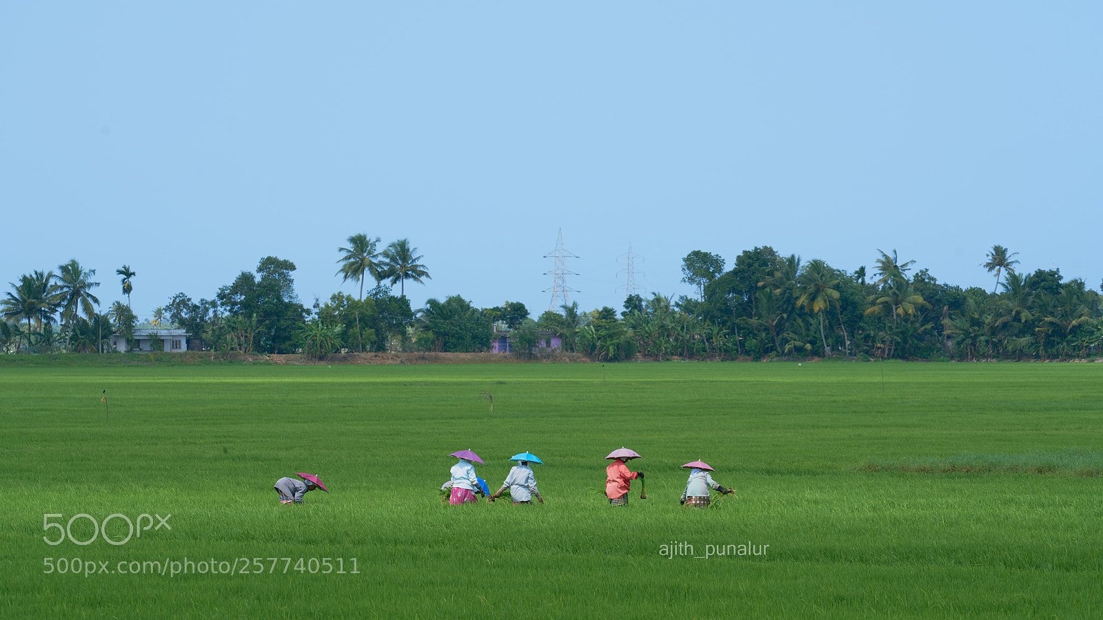 Sony a7R II sample photo. Gods own country photography