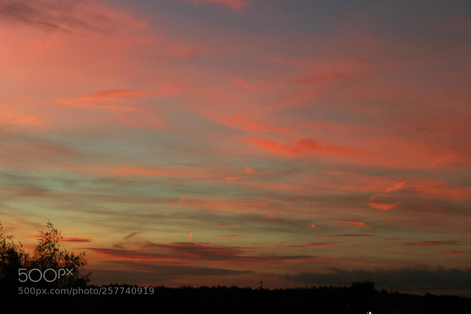Canon EOS 600D (Rebel EOS T3i / EOS Kiss X5) sample photo. Early one morning photography