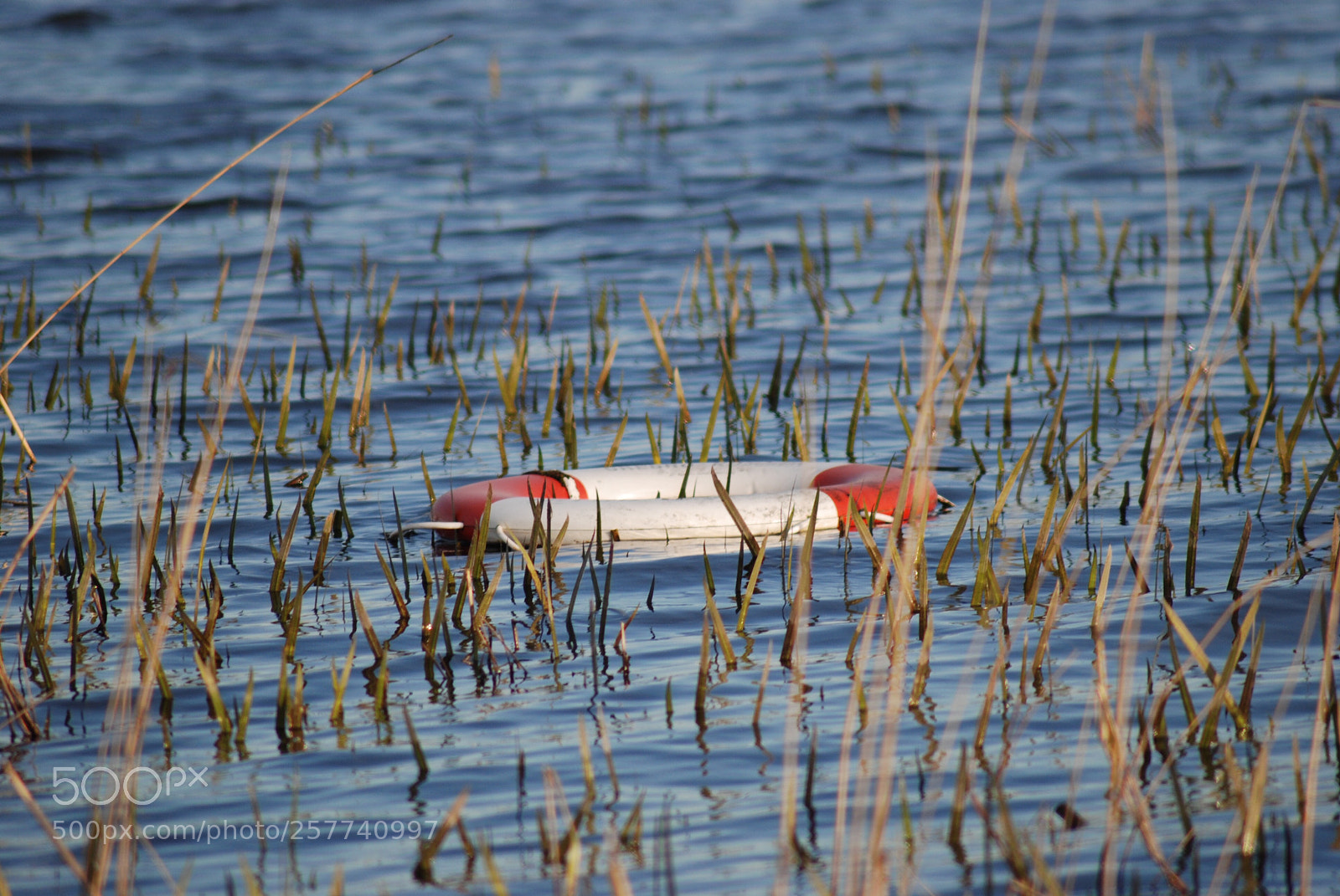 Nikon D80 sample photo. Floating  photography