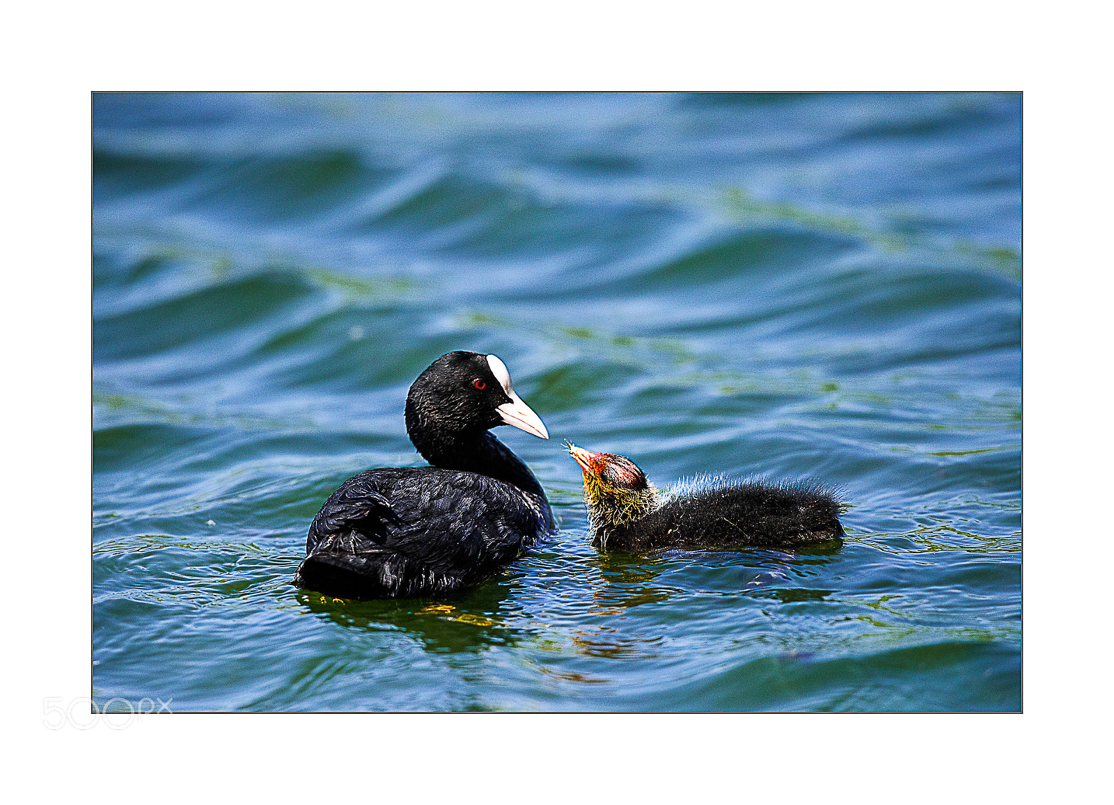 Nikon D810 sample photo. Mother and baby photography