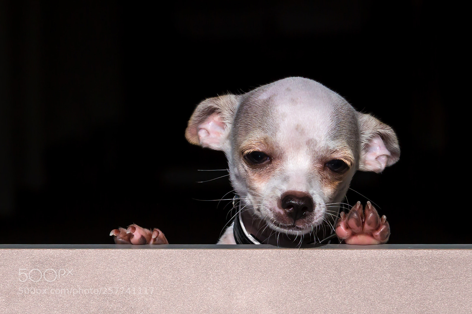 Canon EOS 6D sample photo. Hi friends. photography