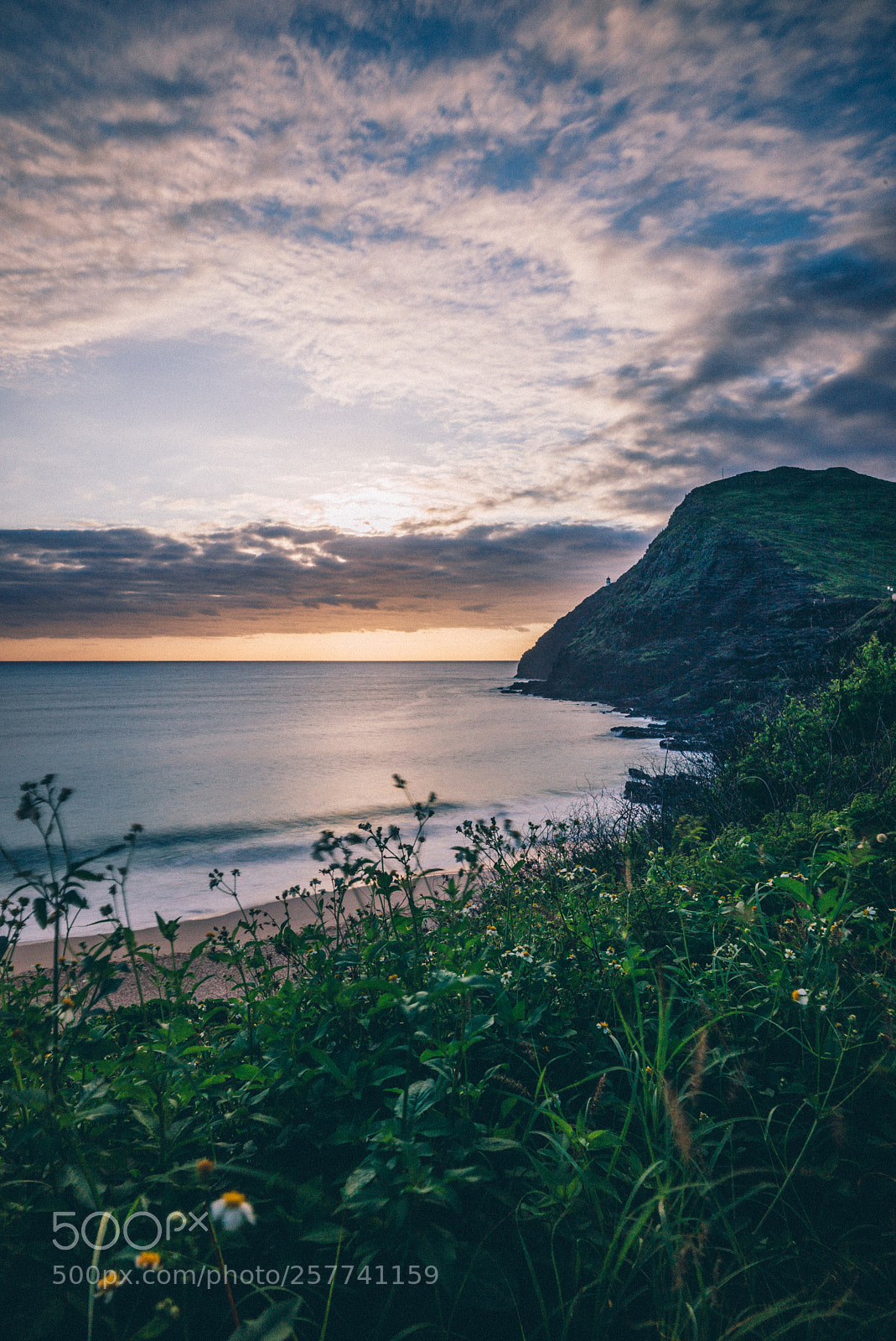 Leica M (Typ 240) sample photo. Makapu u lookout, facing photography