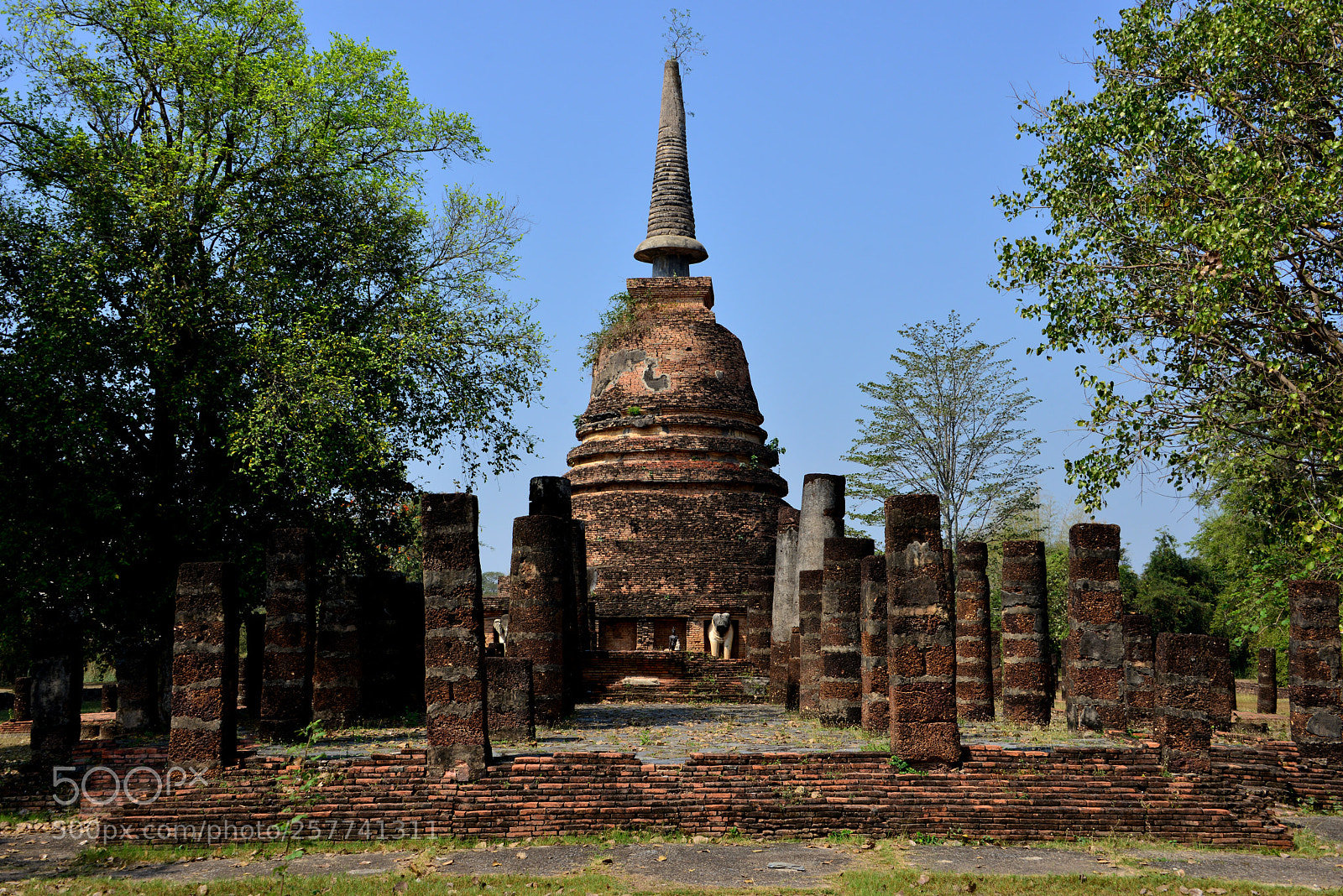 Nikon D800 sample photo. Wat chang lom in photography