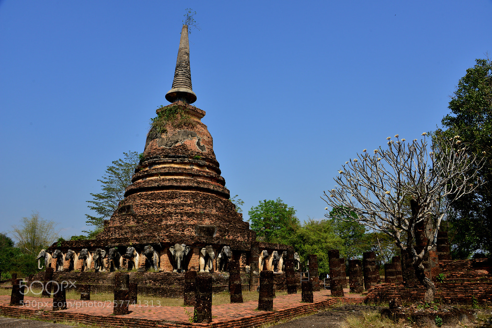 Nikon D800 sample photo. Wat chang lom in photography