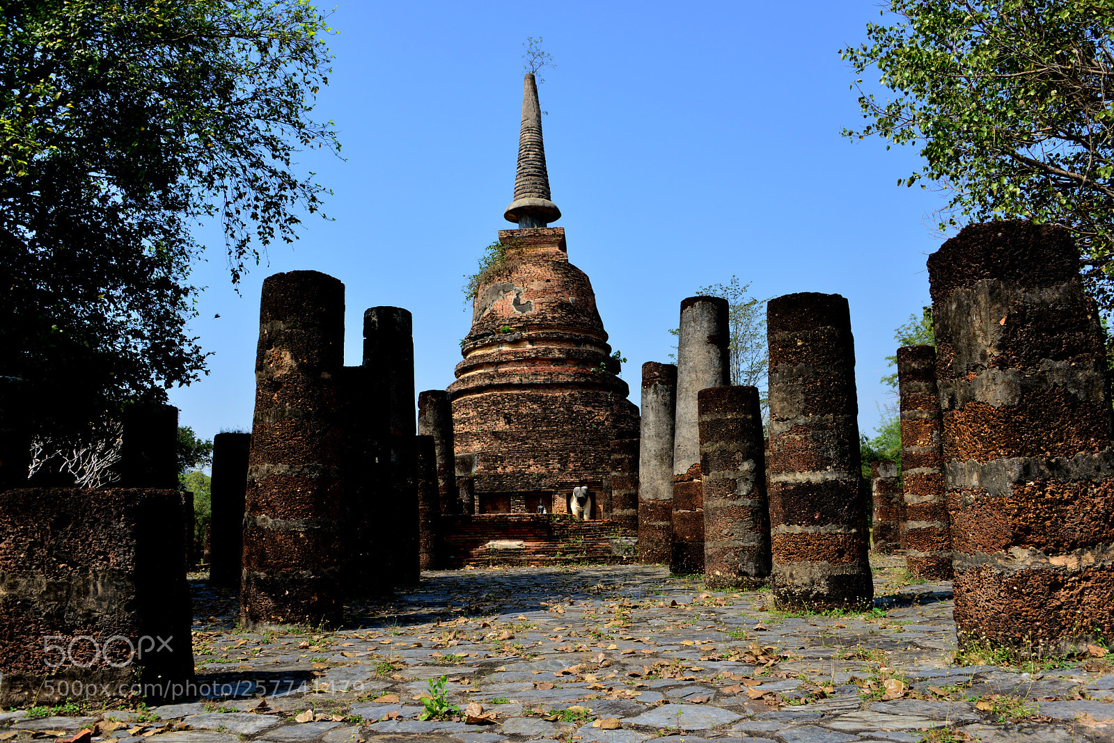 Nikon D800 sample photo. Wat chang lom in photography