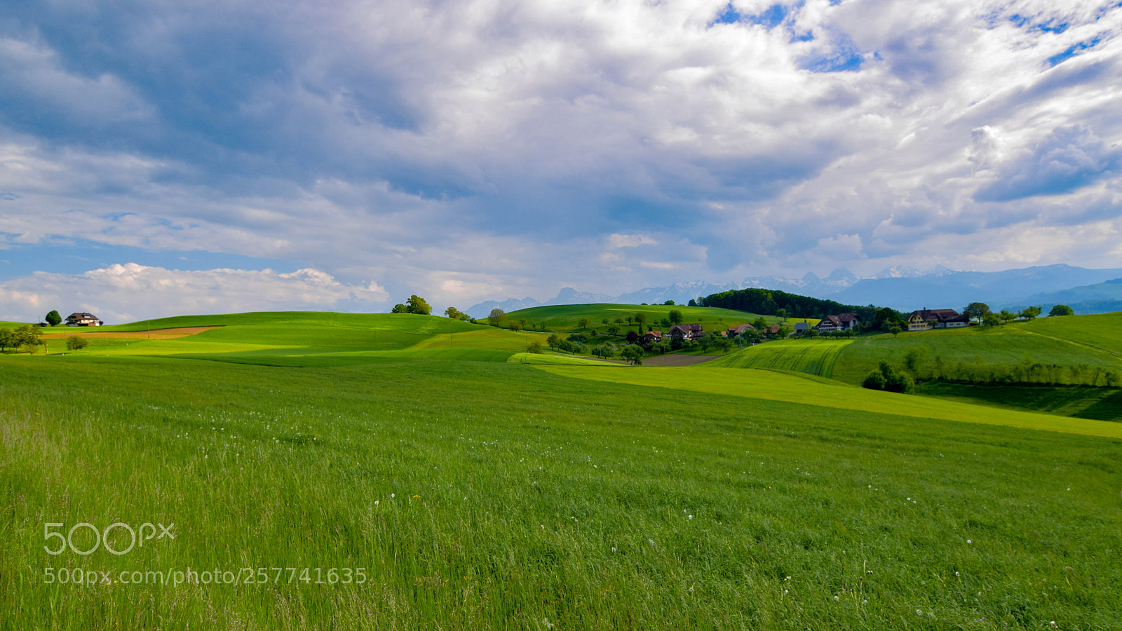 Nikon D5300 sample photo. Schweiz, belpberg photography