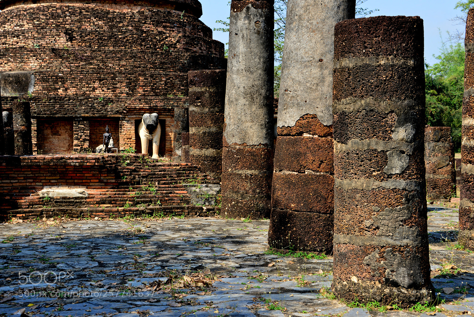 Nikon D800 sample photo. Wat chang lom in photography