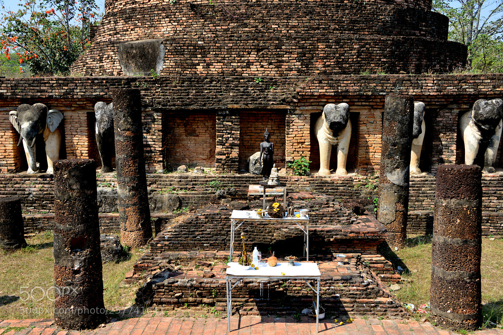 Nikon D800 sample photo. Wat chang lom in photography