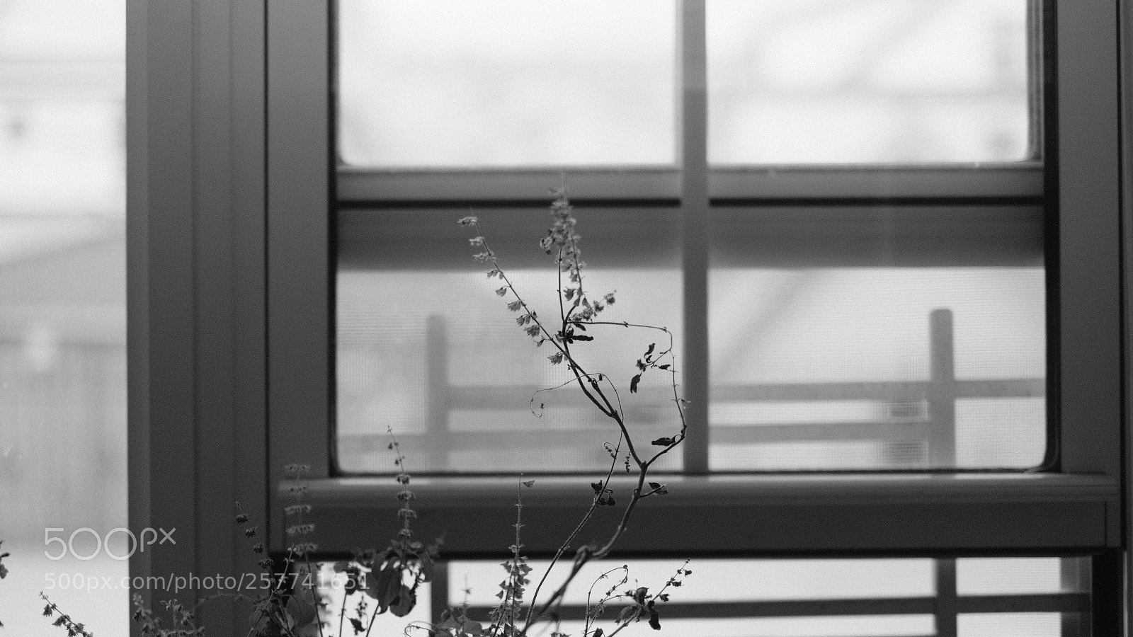 Fujifilm X-T20 sample photo. Untitled photography