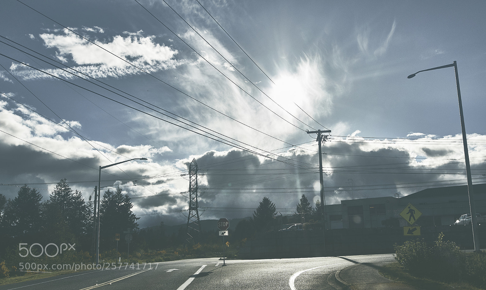 Canon EOS 7D Mark II sample photo. Just cruising photography