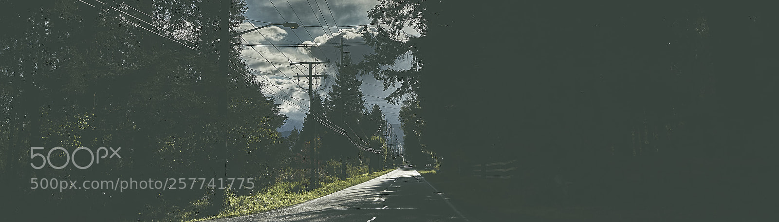 Canon EOS 7D Mark II sample photo. Just cruising photography