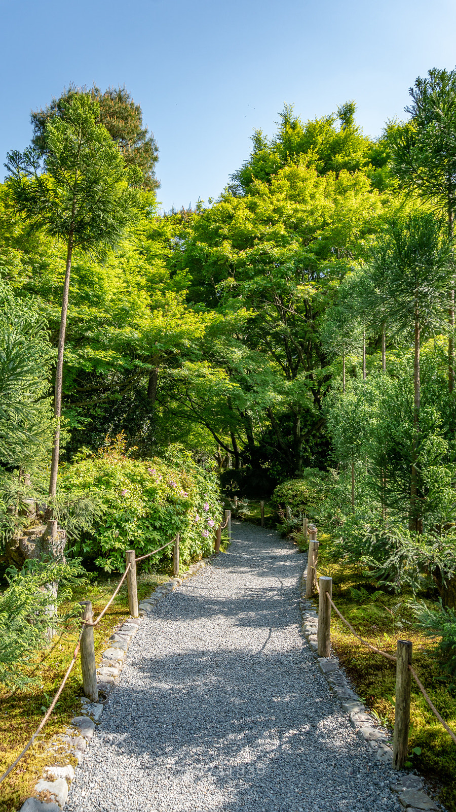 Sony a6300 sample photo. Garden path photography