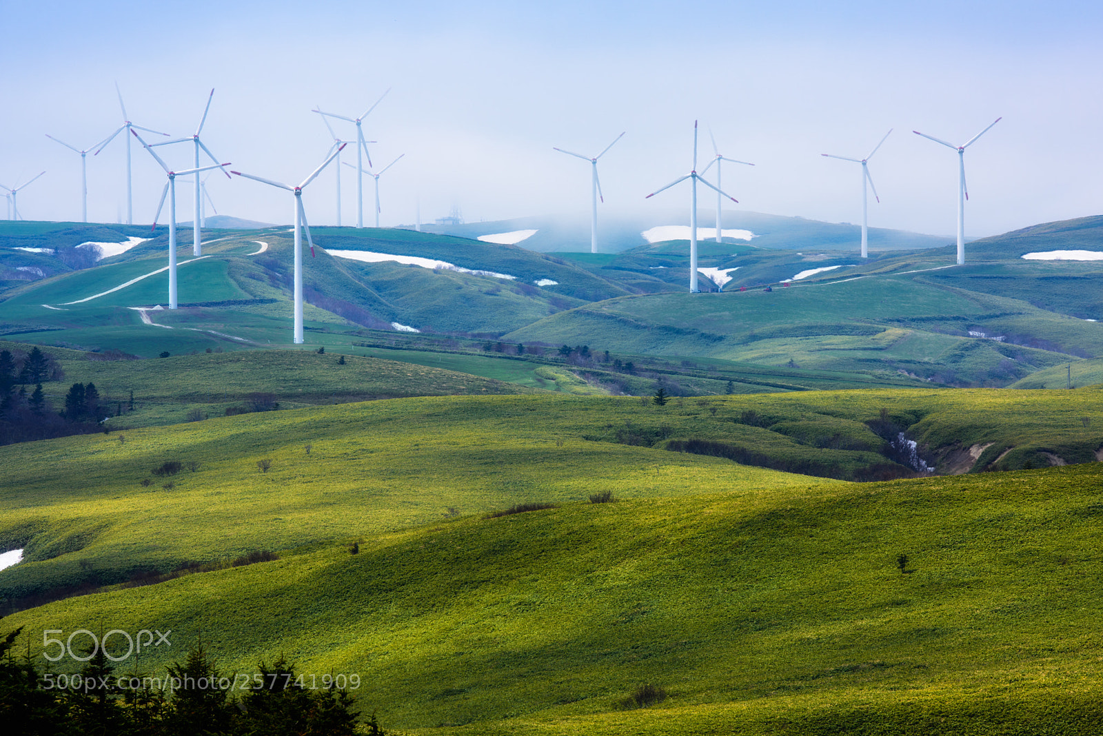 Nikon D810 sample photo. The hill where the photography