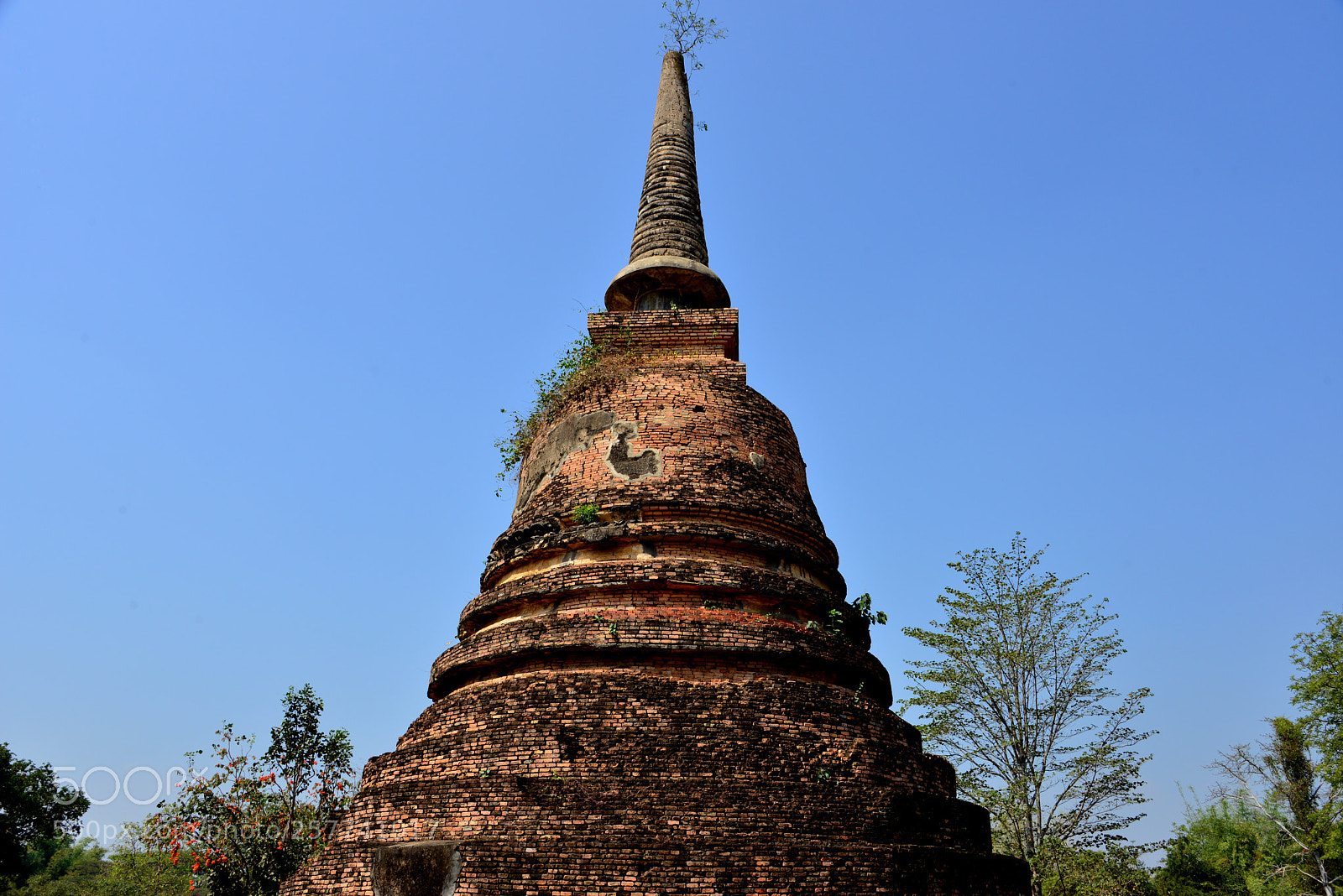 Nikon D800 sample photo. Wat chang lom in photography