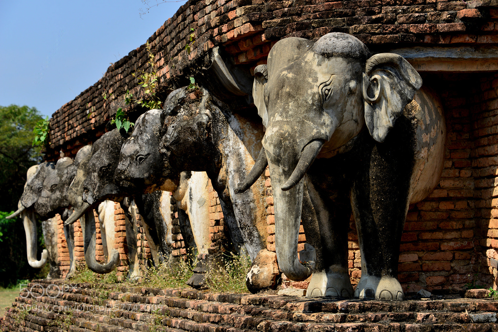 Nikon D800 sample photo. Wat chang lom in photography