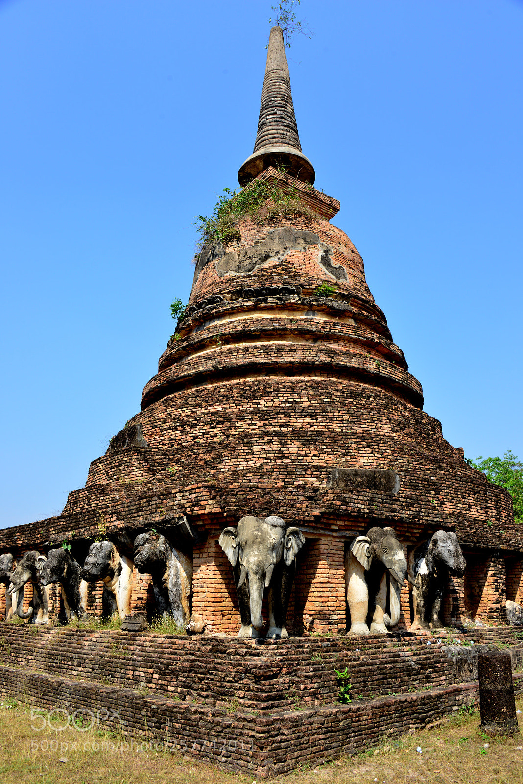 Nikon D800 sample photo. Wat chang lom in photography