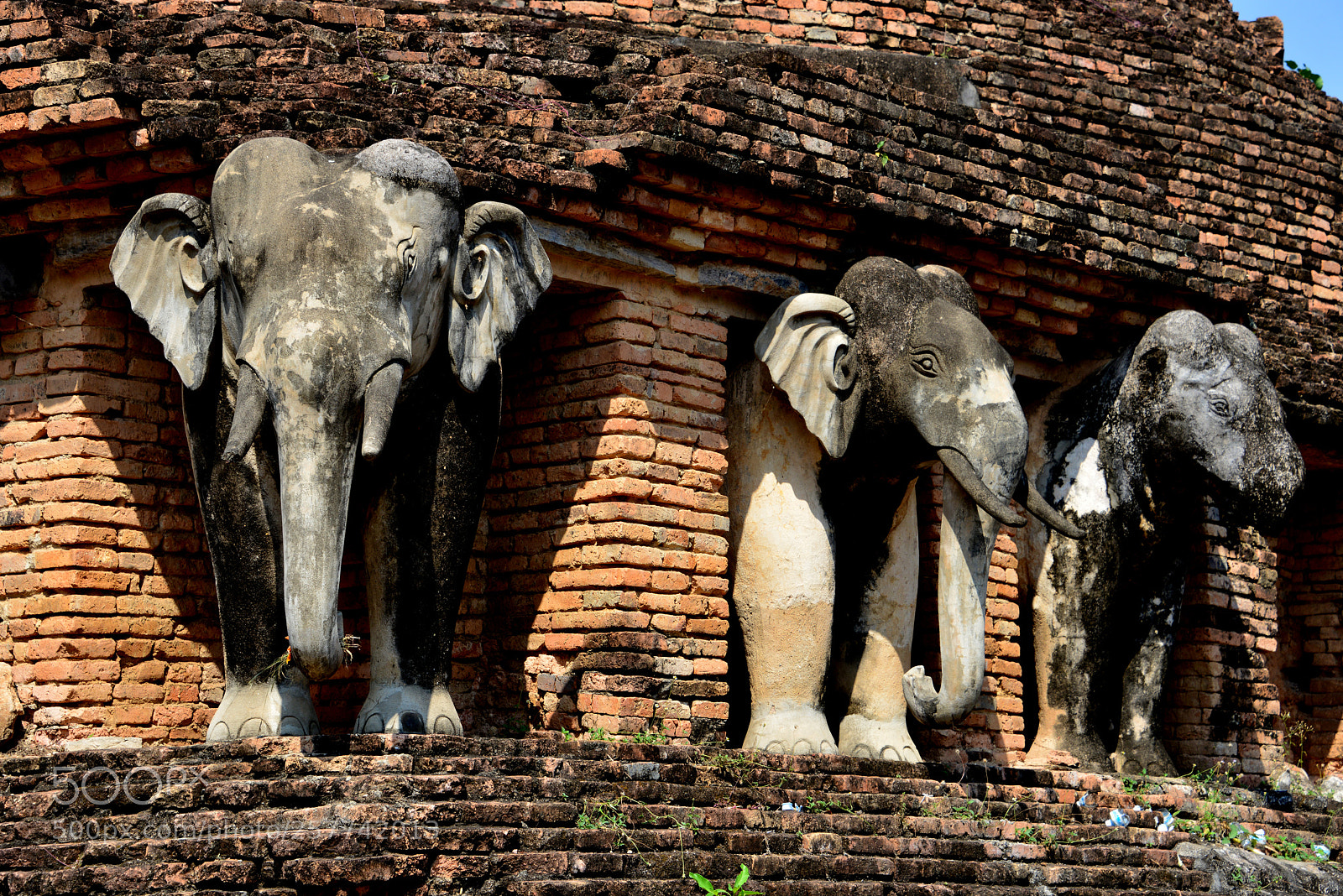 Nikon D800 sample photo. Wat chang lom in photography
