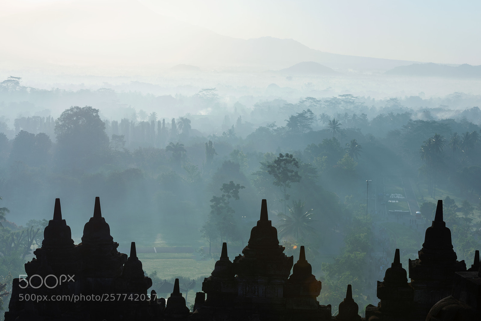 Nikon D810 sample photo. Morning light photography