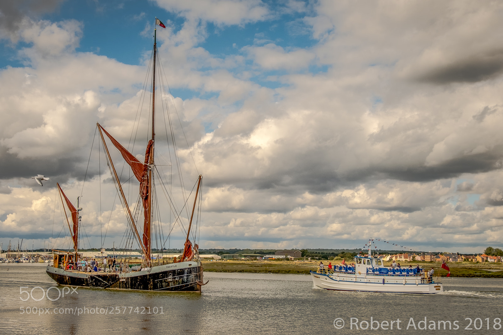 Fujifilm X-T2 sample photo. Thistle meets viking saga photography