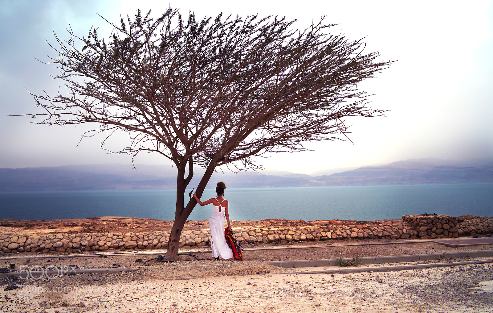Sony a7R III sample photo. Dead sea photography