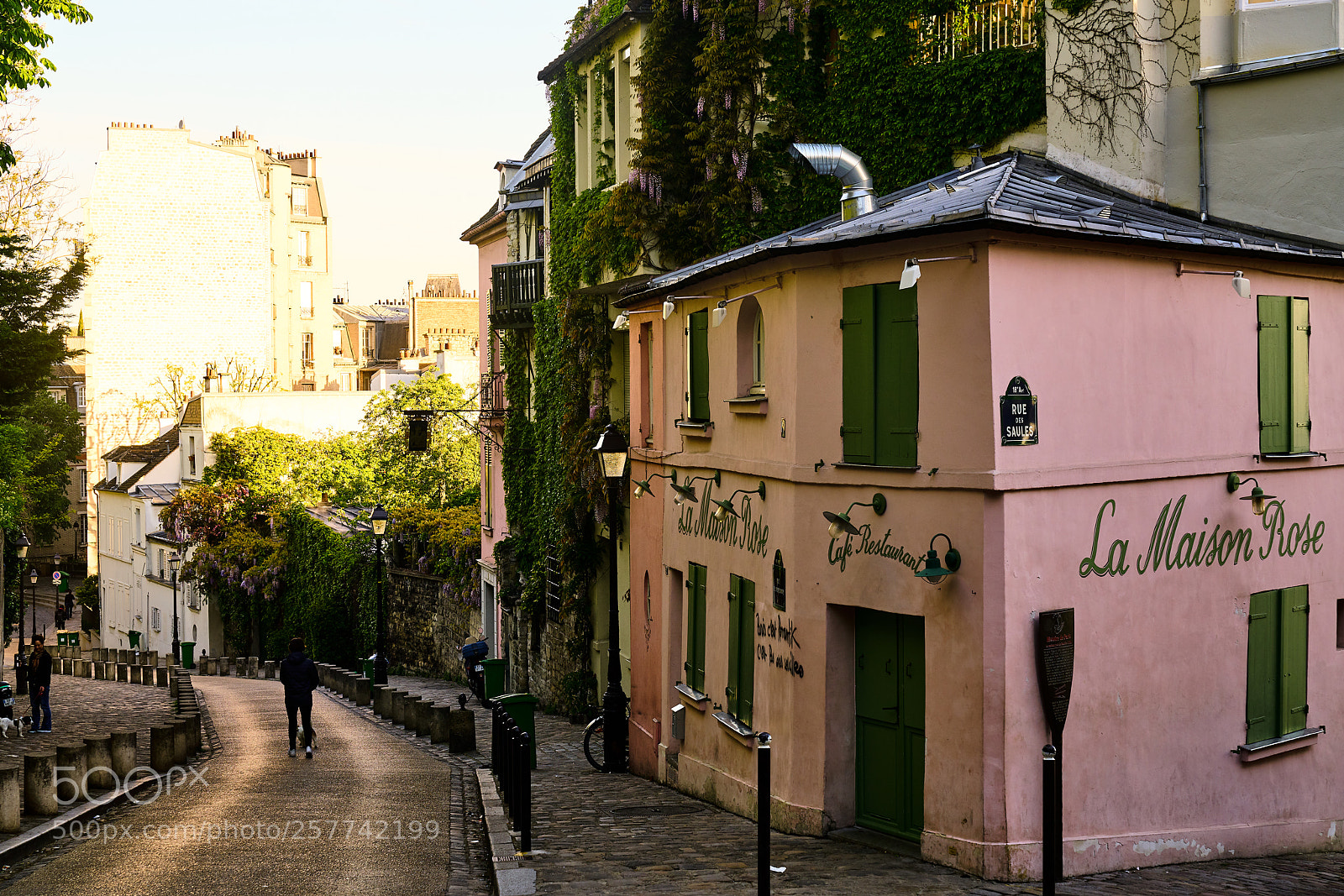 Sony a7R II sample photo. La maison rose photography