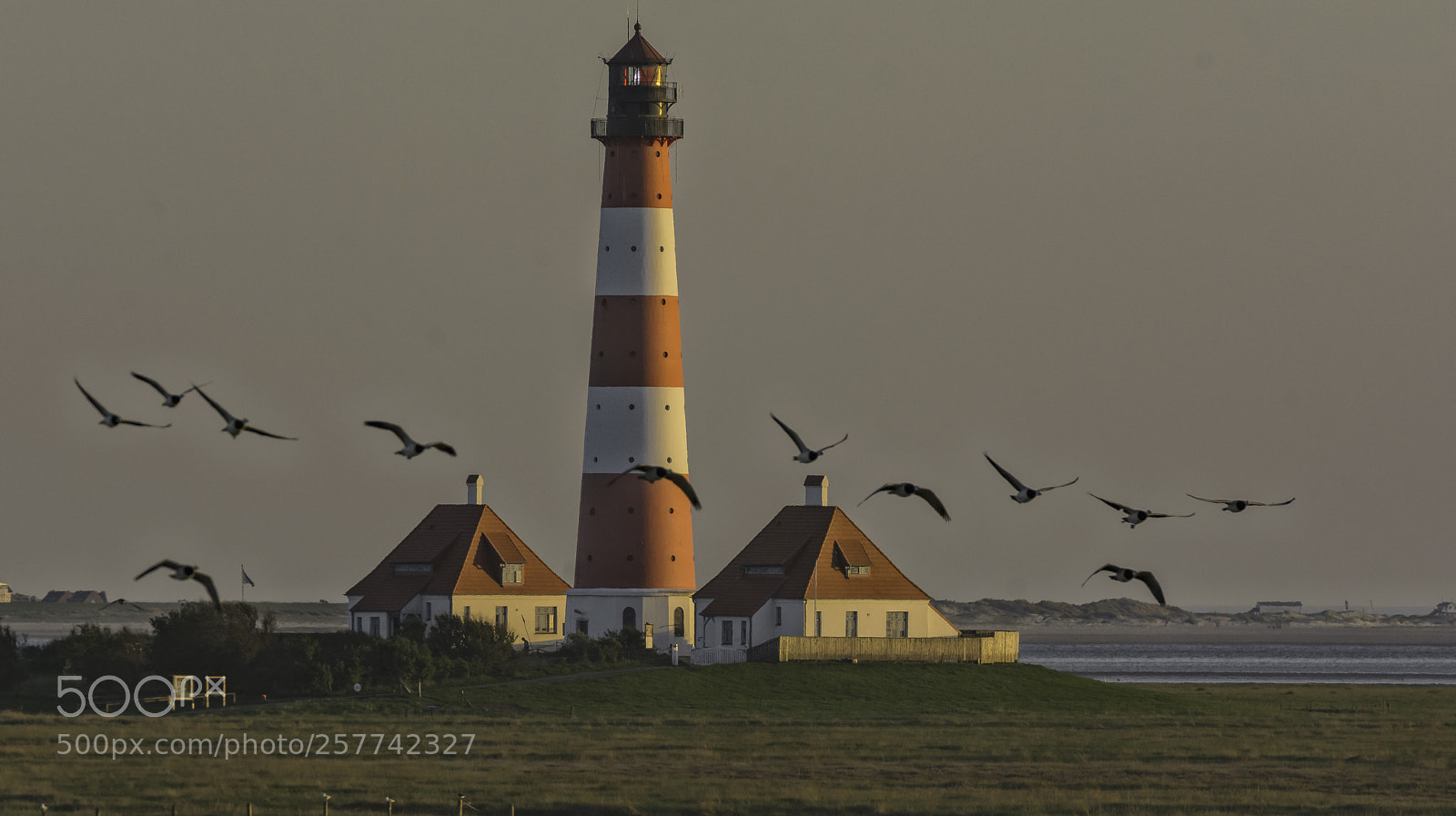 Nikon D7100 sample photo. Westerhever sand photography
