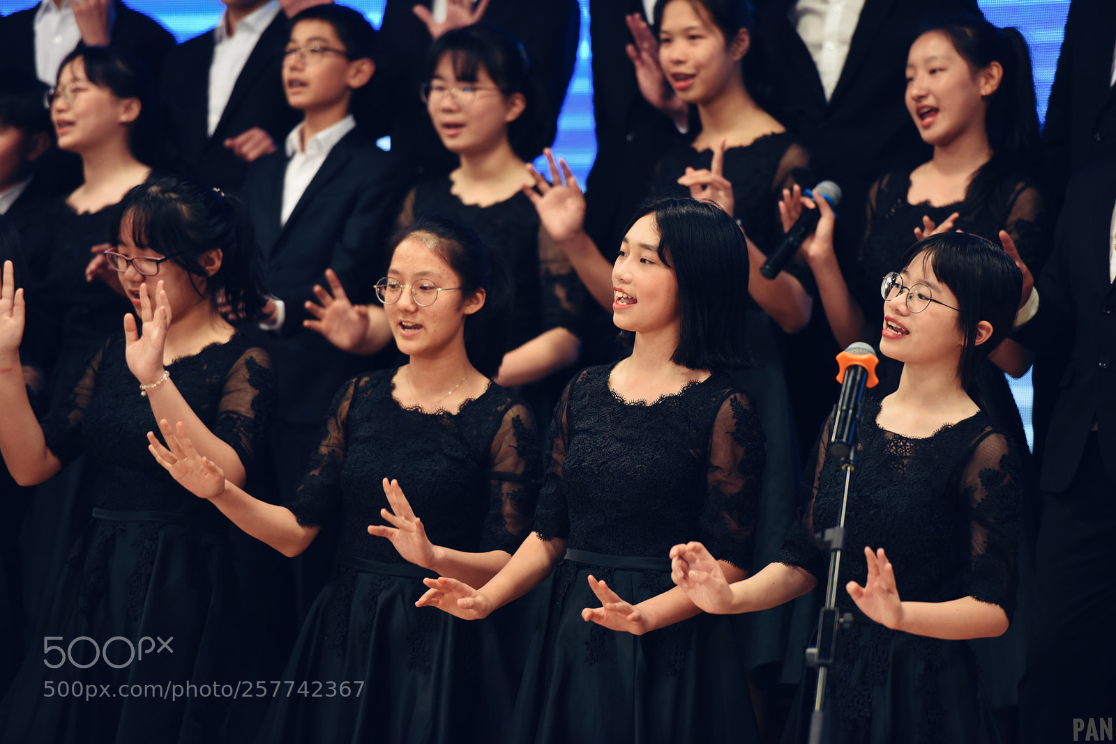 Nikon D810 sample photo. Untitled photography