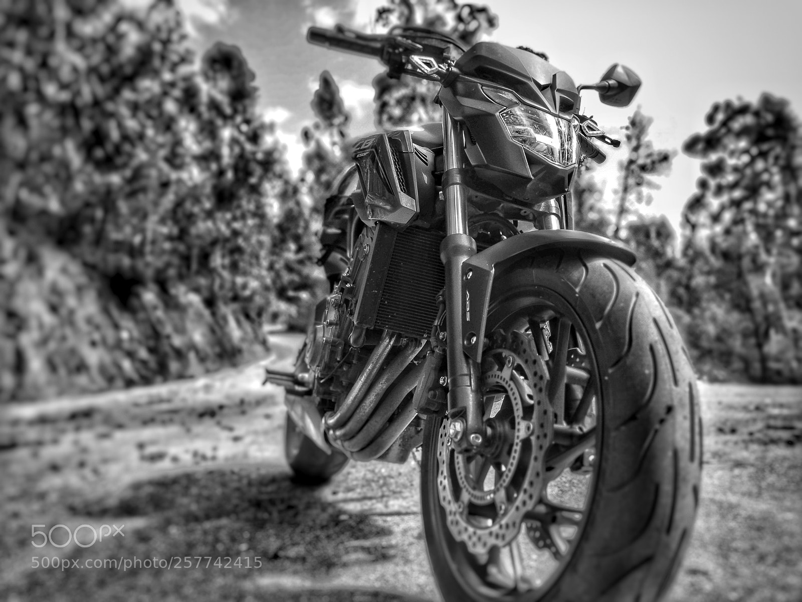 HUAWEI P10 sample photo. Freedom photography