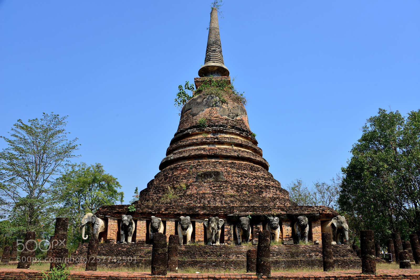 Nikon D800 sample photo. Wat chang lom in photography