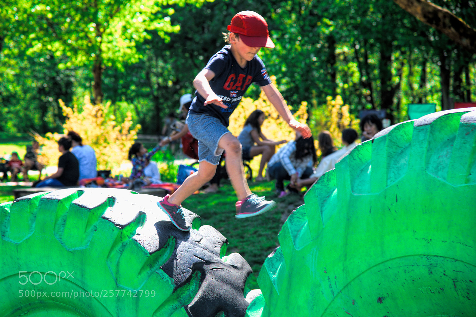 Nikon D850 sample photo. On the big green photography